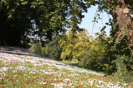 Le parc en septembre