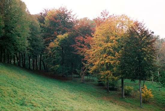 Le parc en automne