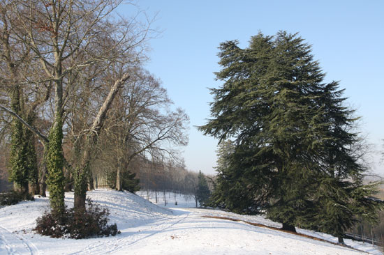 Le parc sous la neige