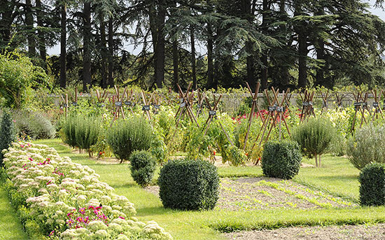 Le Jardin de la Bourdaisière