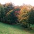 Le parc en automne