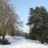 Le parc sous la neige